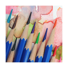 Load image into Gallery viewer, Watercolour Pencils Signature 12pc