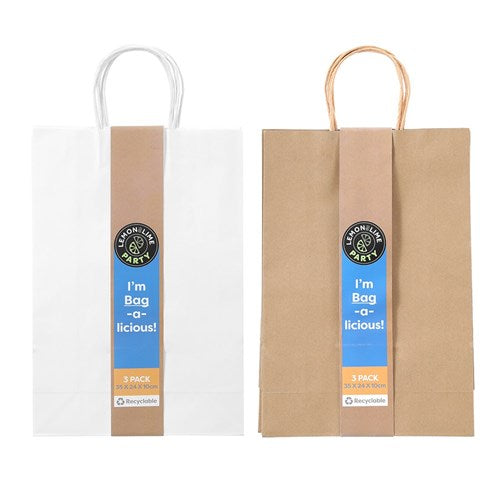 GIFT BAG PAPER 3PK 35X24X10CM 2 ASSTD