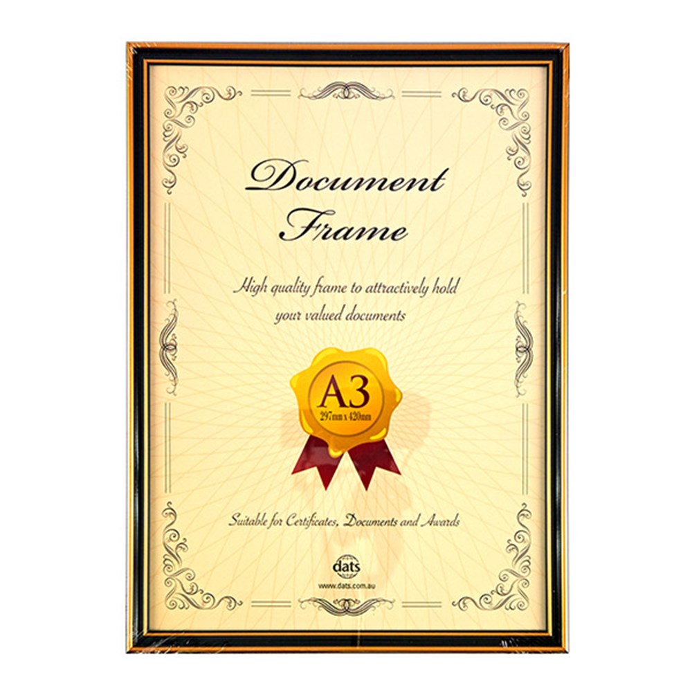 Frame Document Certificate A3 w Hooks & Stand